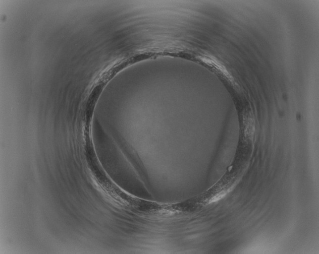 X0000069810542200605191048