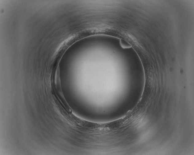 X0000069810543200605191048