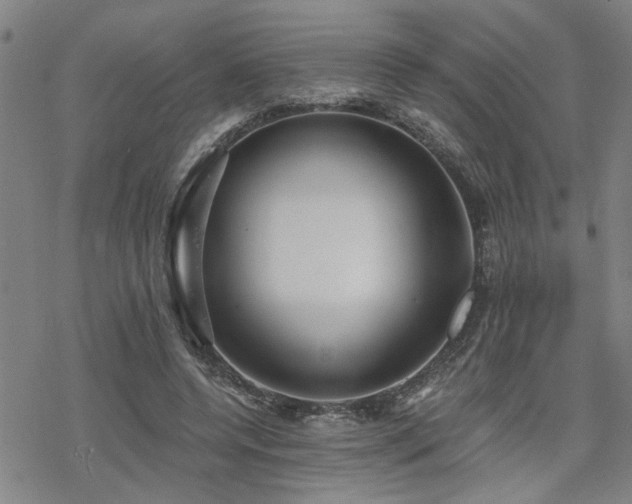 X0000069810544200605191048