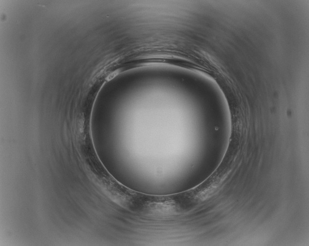 X0000069810548200605191048