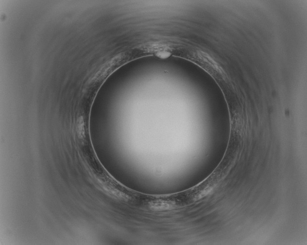 X0000069810549200605191048