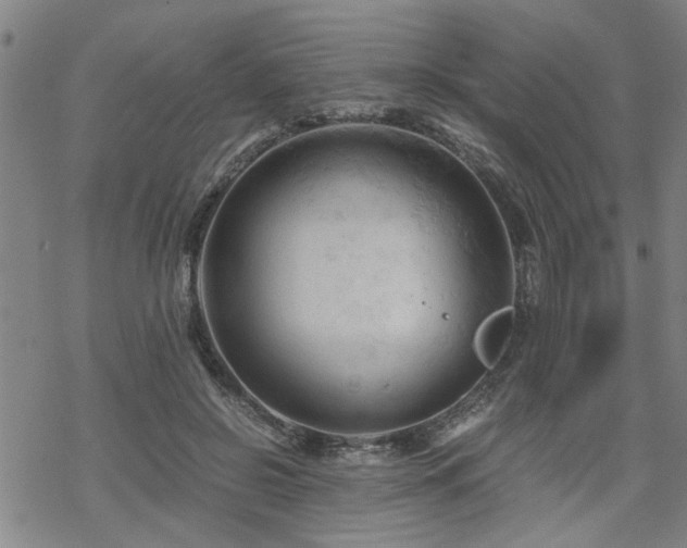 X0000069810550200605191048