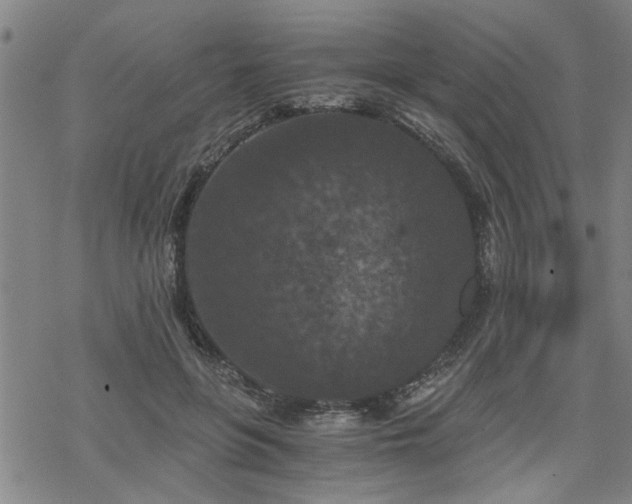 X0000069810551200605191048