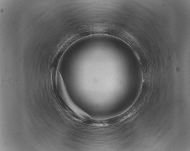 X0000069810552200605191048