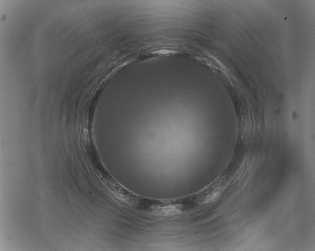 X0000069810553200605191048