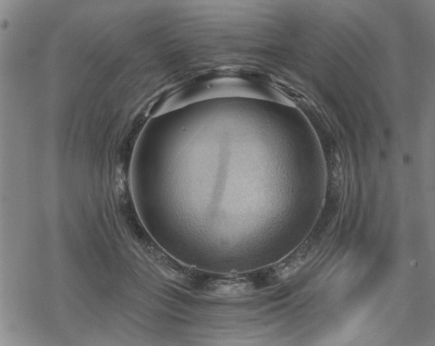 X0000069810555200605191048