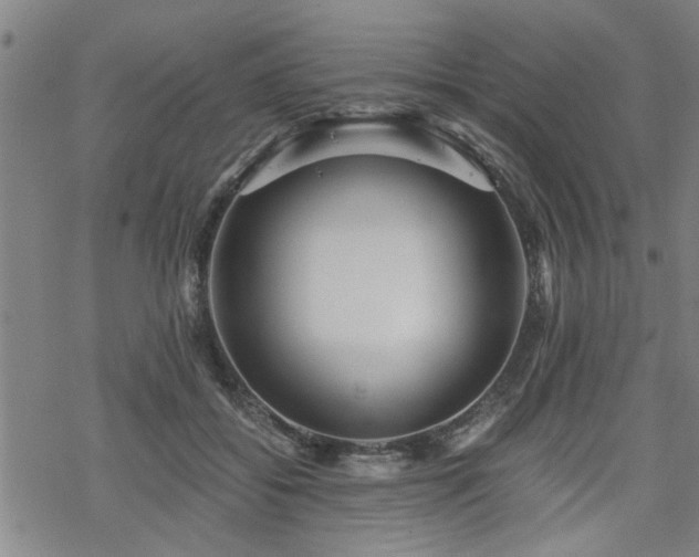 X0000069810556200605191048