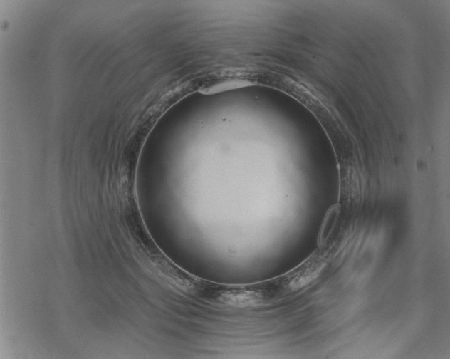 X0000069810557200605191048