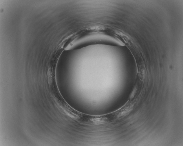 X0000069810558200605191048