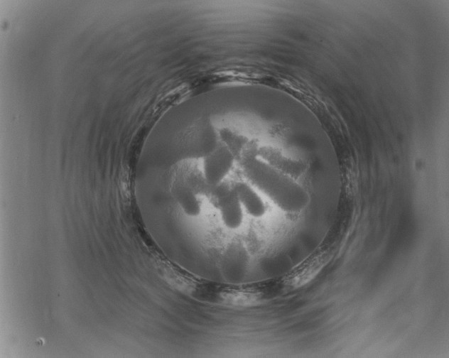 X0000069810561200605191048