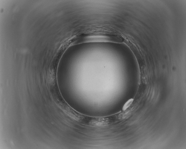 X0000069810563200605191048