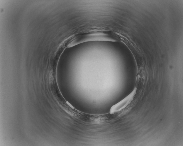 X0000069810564200605191048