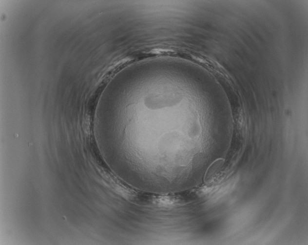 X0000069810565200605191048