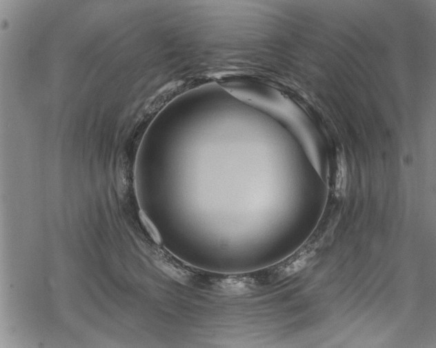 X0000069810566200605191048