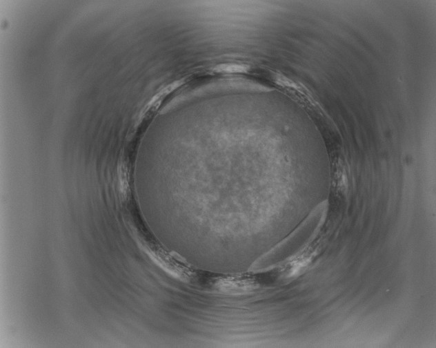 X0000069810568200605191048