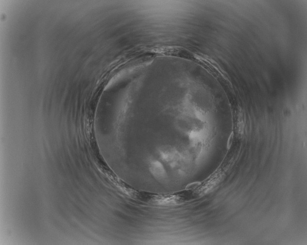 X0000069810569200605191048