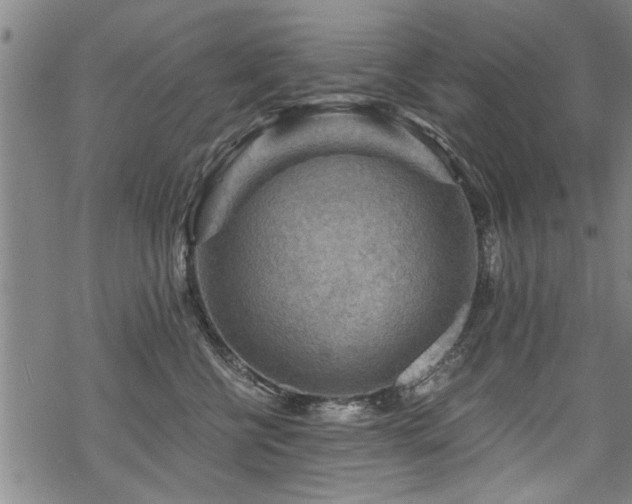 X0000069810570200605191048