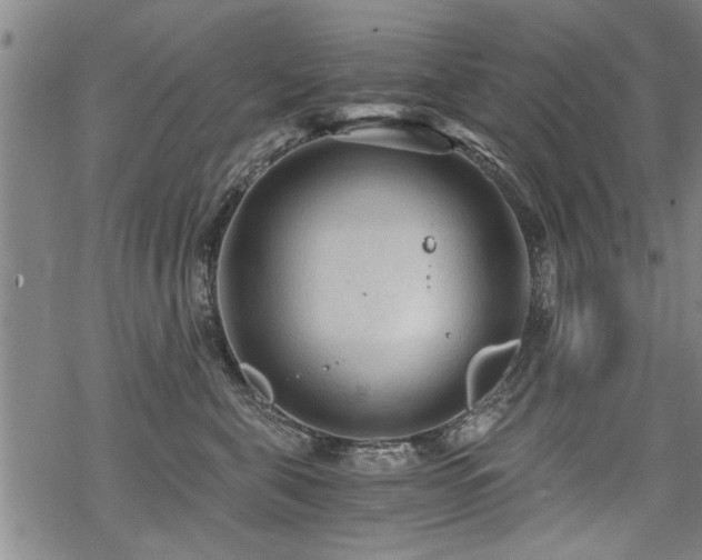 X0000069810571200605191048