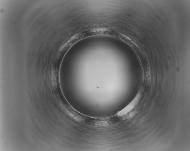 X0000069810572200605191048