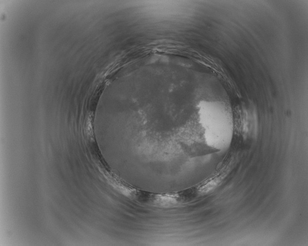 X0000069810573200605191048