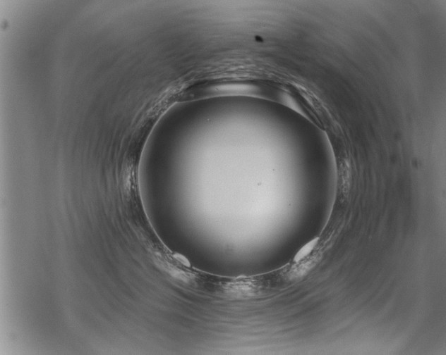 X0000069810574200605191048