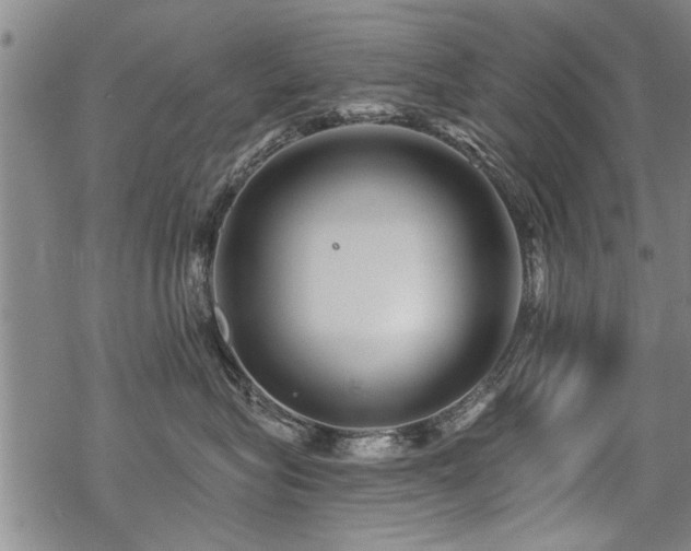 X0000069810575200605191049