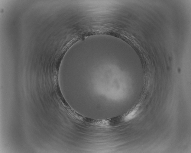 X0000069810576200605191049