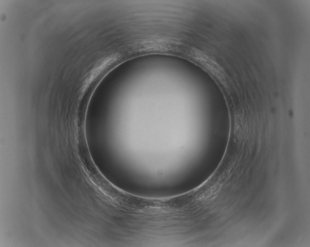 X0000069810578200605191048