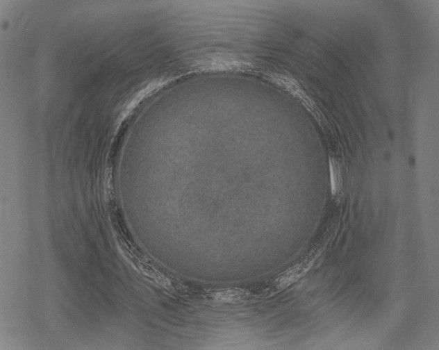 X0000069810579200605191048