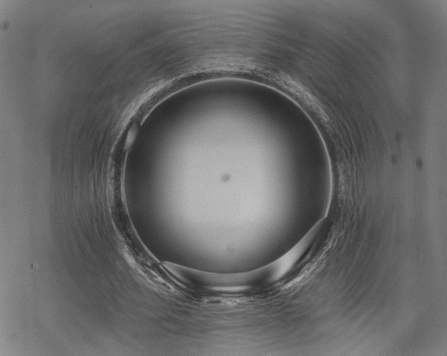 X0000069810580200605191048