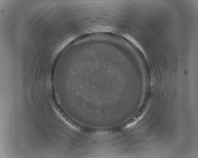 X0000069810581200605191048