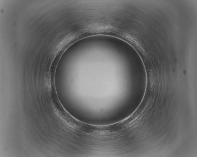 X0000069810582200605191048