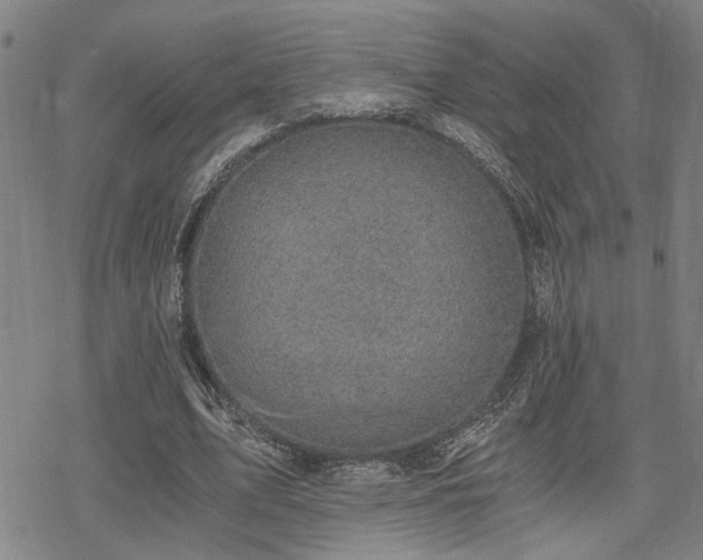 X0000069810583200605191048