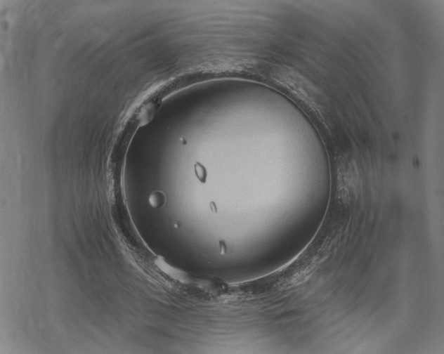 X0000069810584200605191048