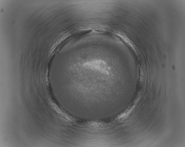 X0000069810585200605191048