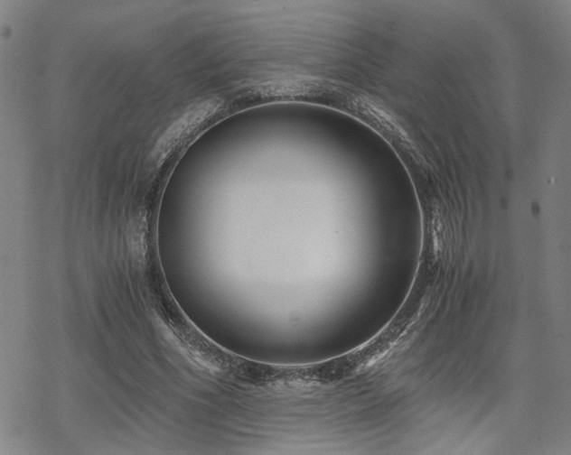 X0000069810586200605191048