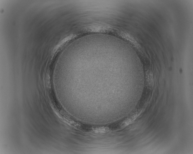 X0000069810587200605191048