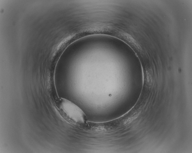 X0000069810588200605191048