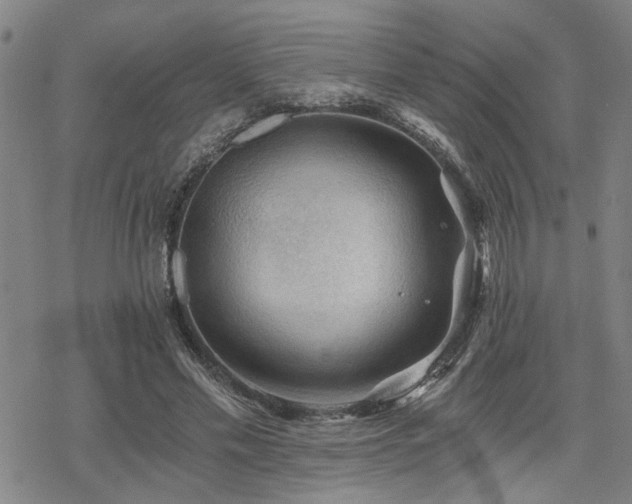 X0000069810589200605191048