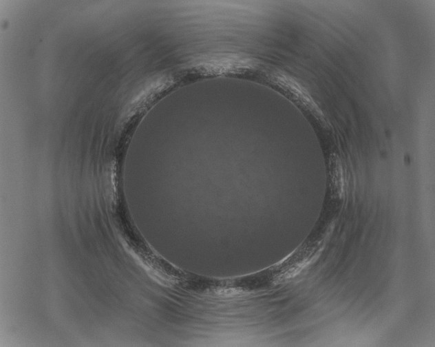 X0000069810590200605191048