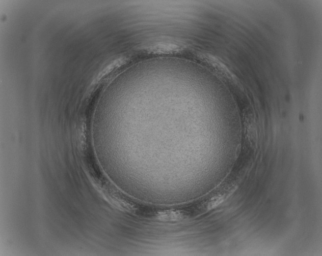 X0000069810591200605191048