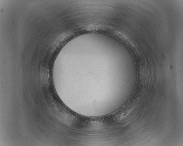 X0000069810592200605191047