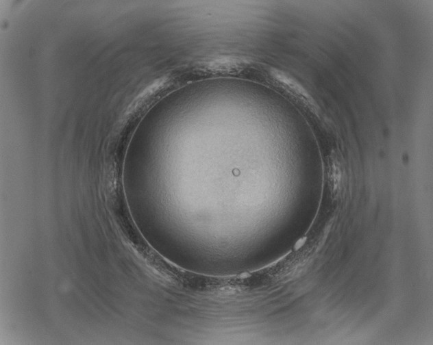 X0000069810593200605191047