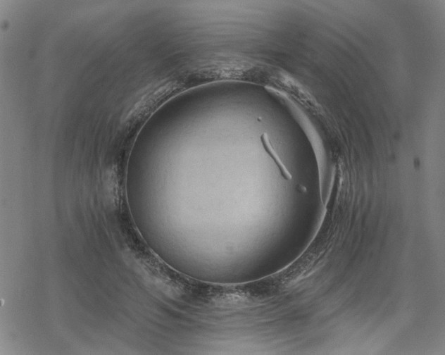 X0000069810594200605191047