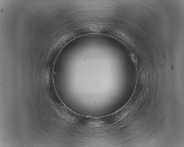 X0000069810595200605191047