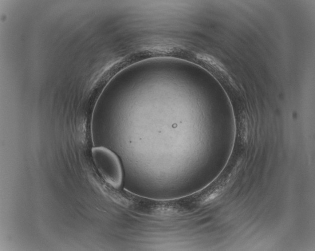 X0000069810596200605191047