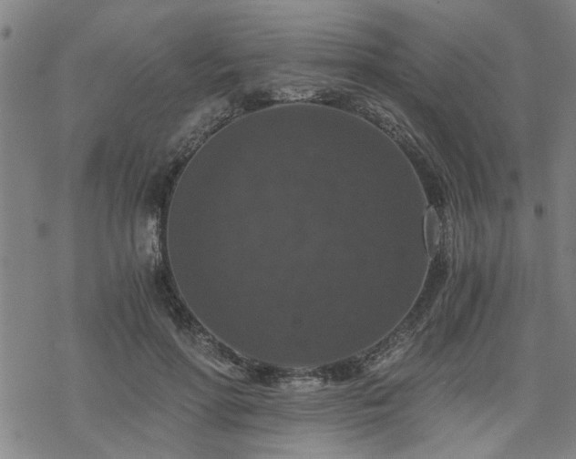 X0000069810598200605191047