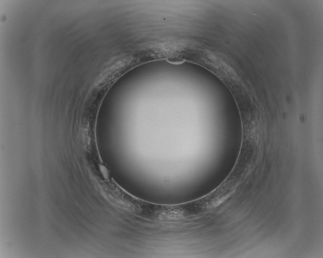 X0000069810599200605191047