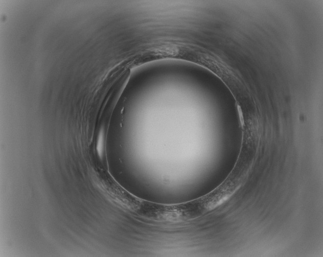 X0000069810600200605191047