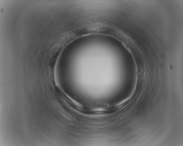 X0000069810601200605191047